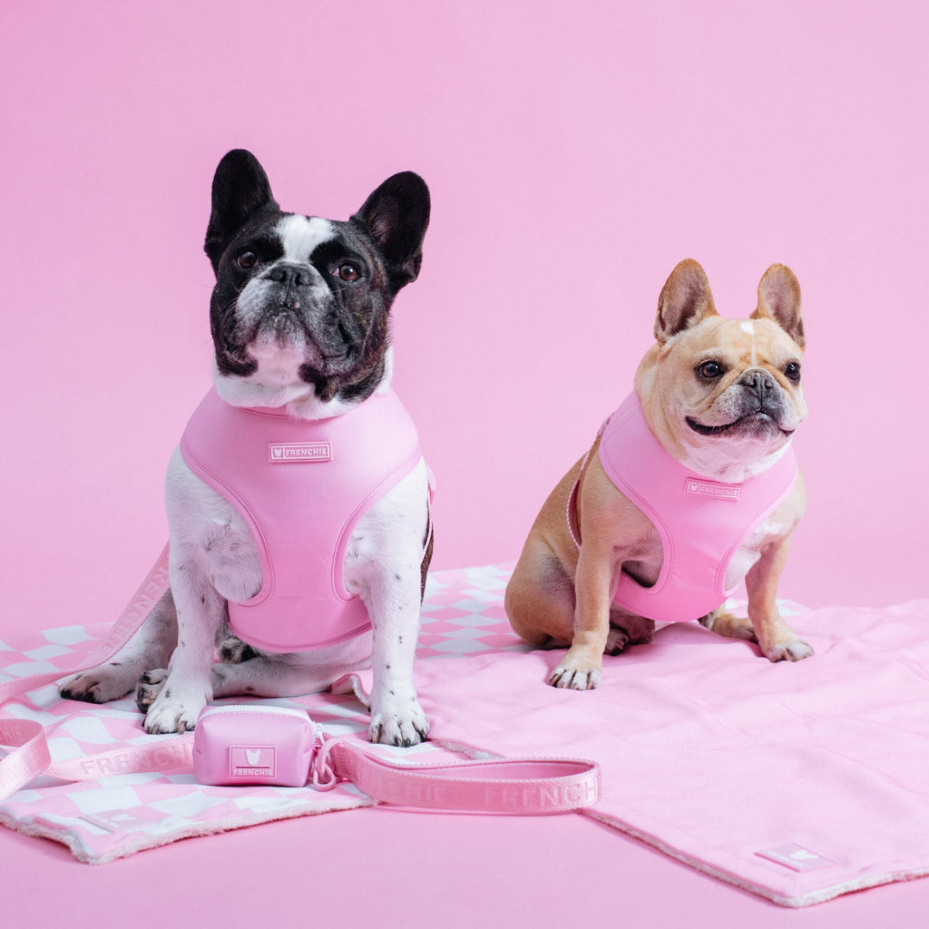 Frenchie Duo Reversible Harness - Solid Pink Bubblegum