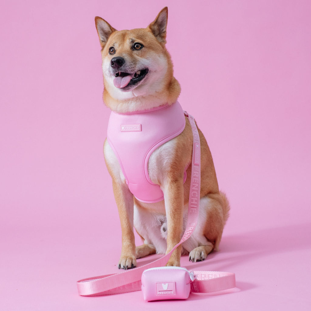 Frenchie Duo Reversible Harness - Solid Pink Bubblegum