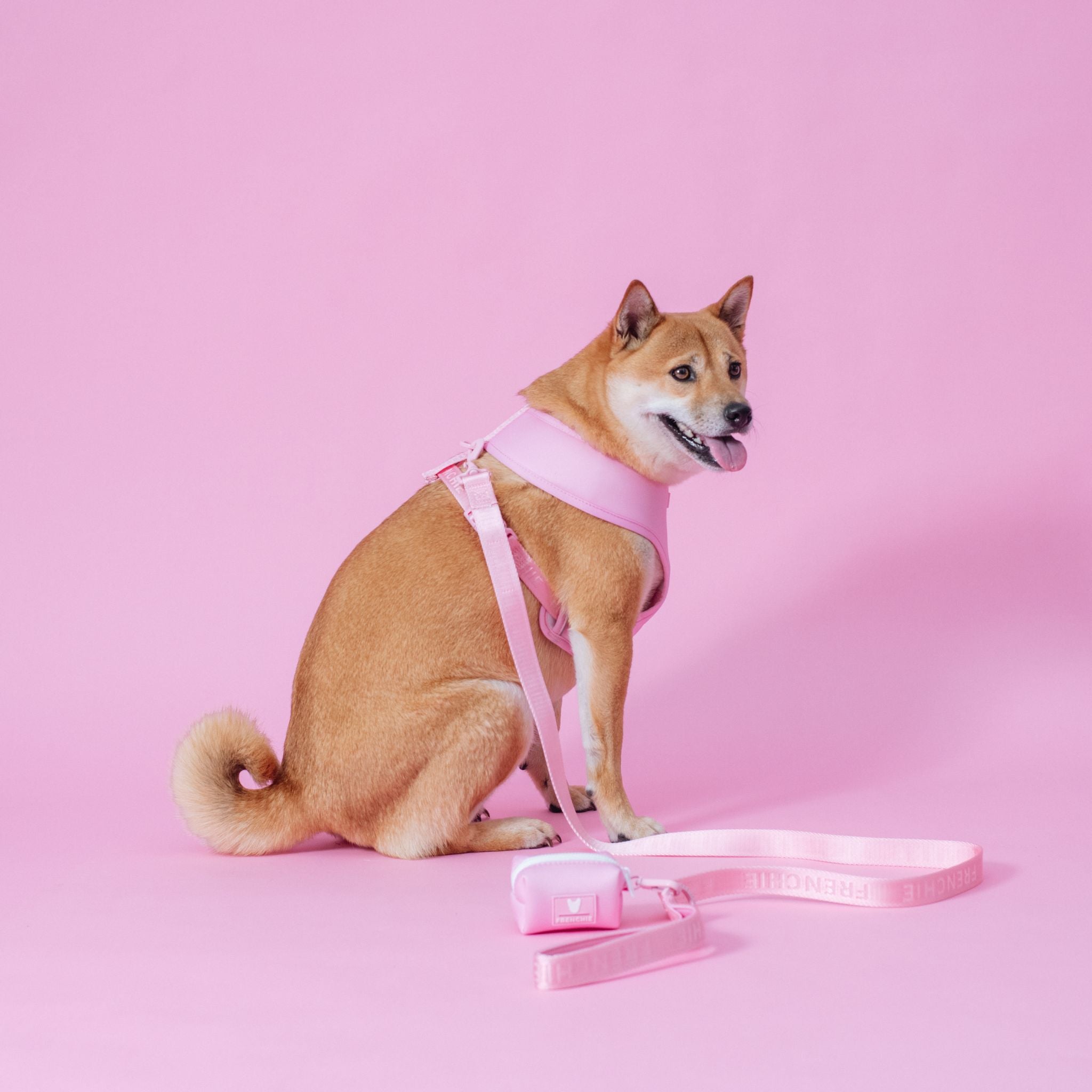 Frenchie Comfort Leash - Solid Pink Bubblegum