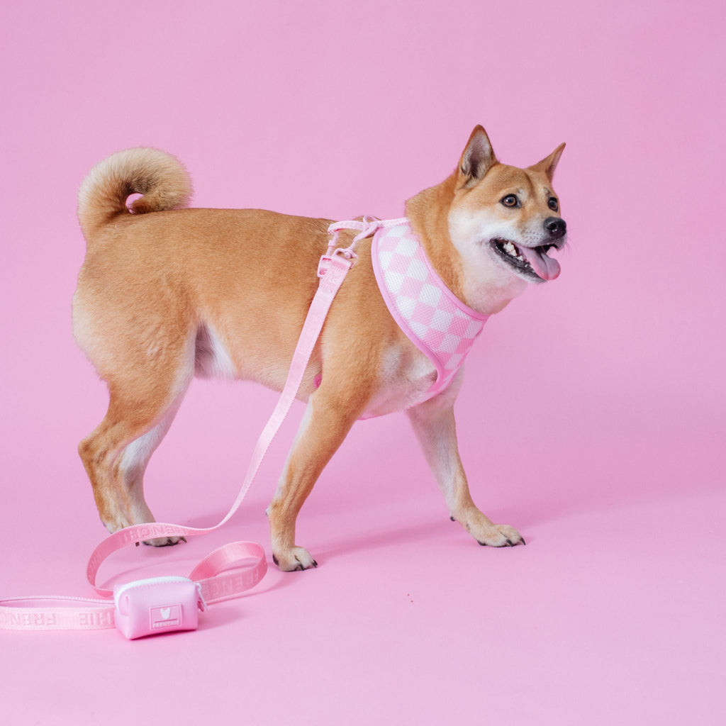Frenchie Duo Reversible Harness - Solid Pink Bubblegum