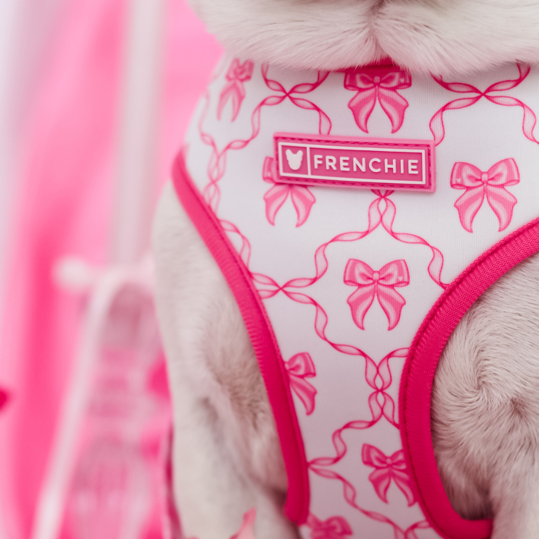 Frenchie Duo Reversible Harness - Pink Bows