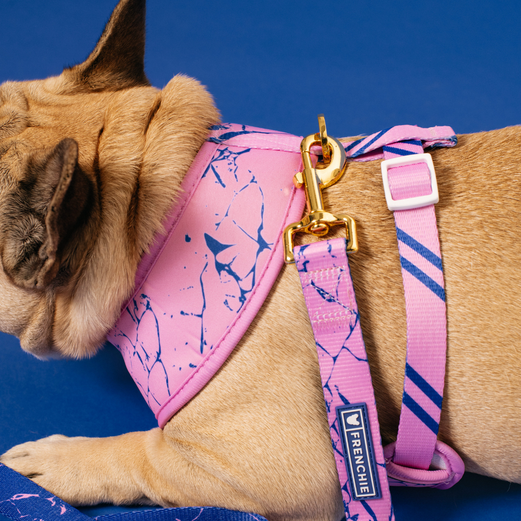Frenchie Duo Reversible Harness - Pink Marble