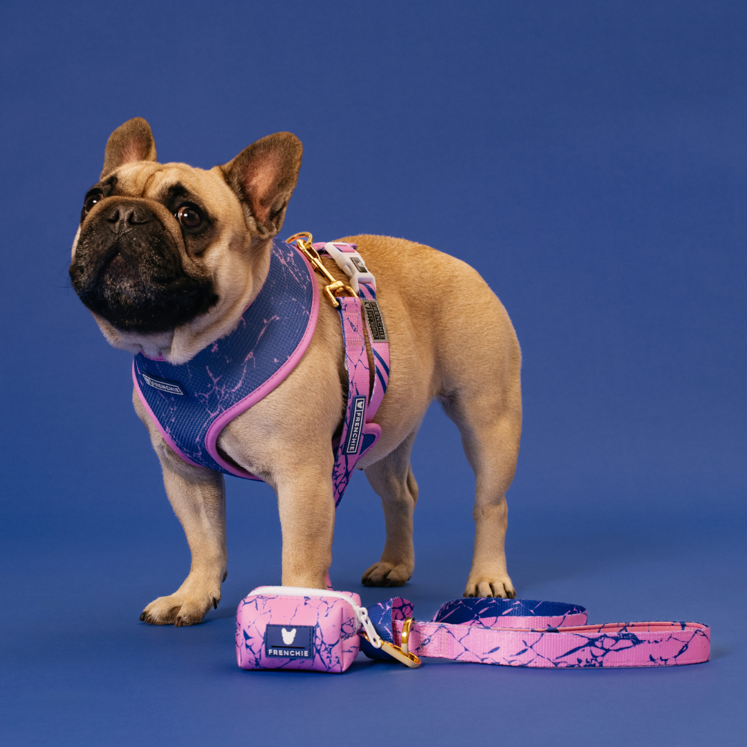 Frenchie Comfort Leash - Pink Marble