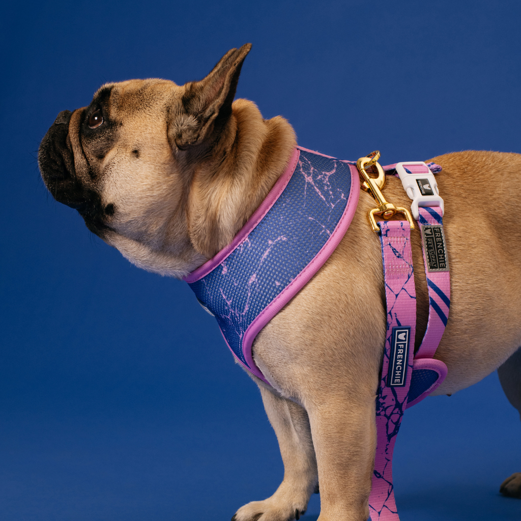 Frenchie Duo Reversible Harness - Pink Marble