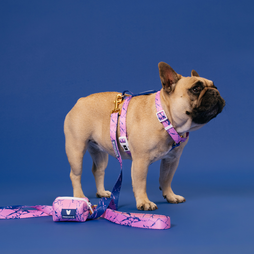 Frenchie Strap Harness - Pink Marble
