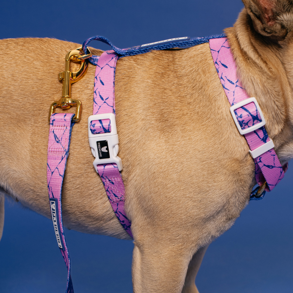 Frenchie Strap Harness - Pink Marble
