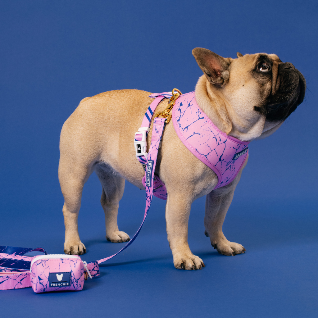 Frenchie Duo Reversible Harness - Pink Marble
