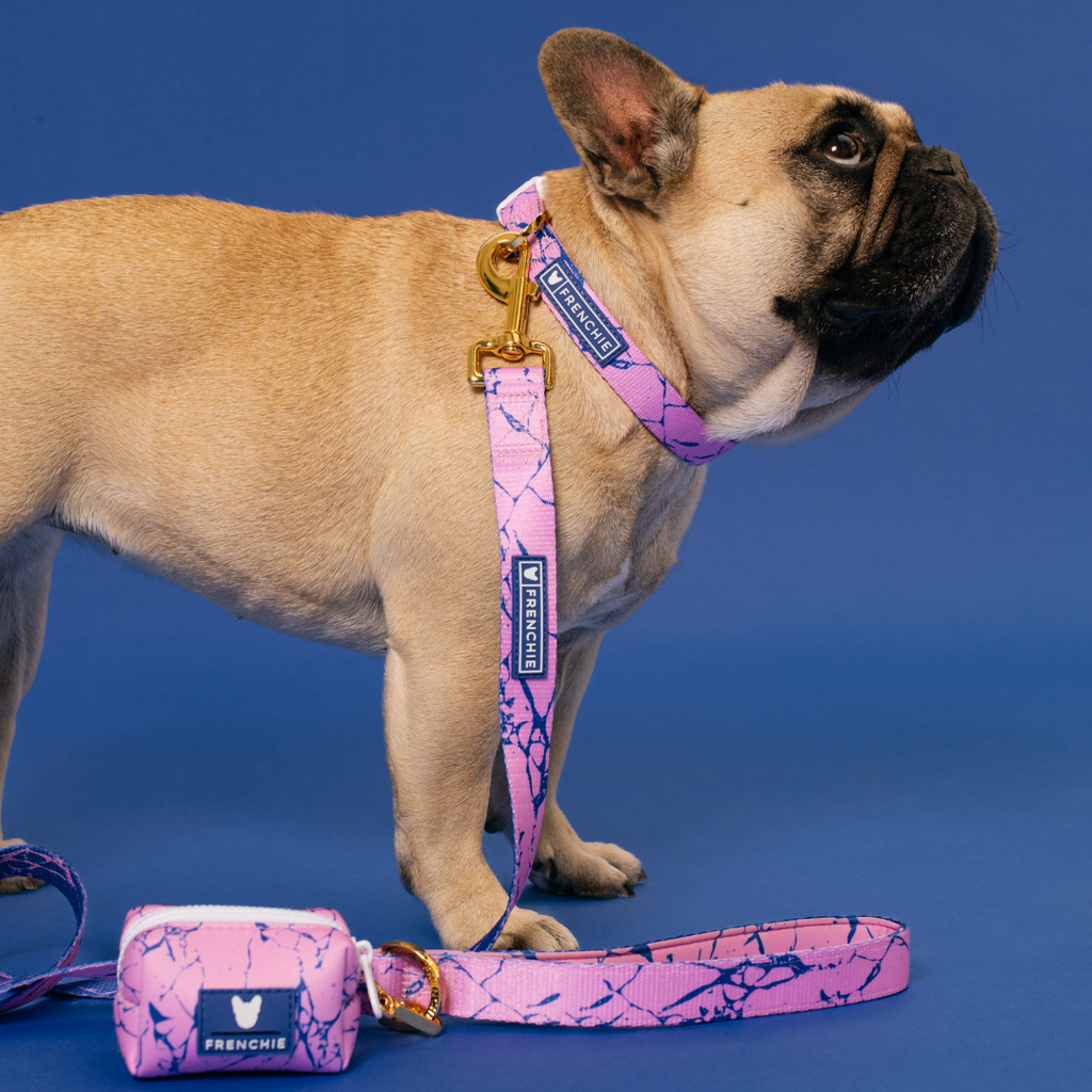 Frenchie Comfort Collar - Pink Marble