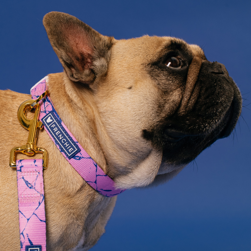 Frenchie Comfort Collar - Pink Marble