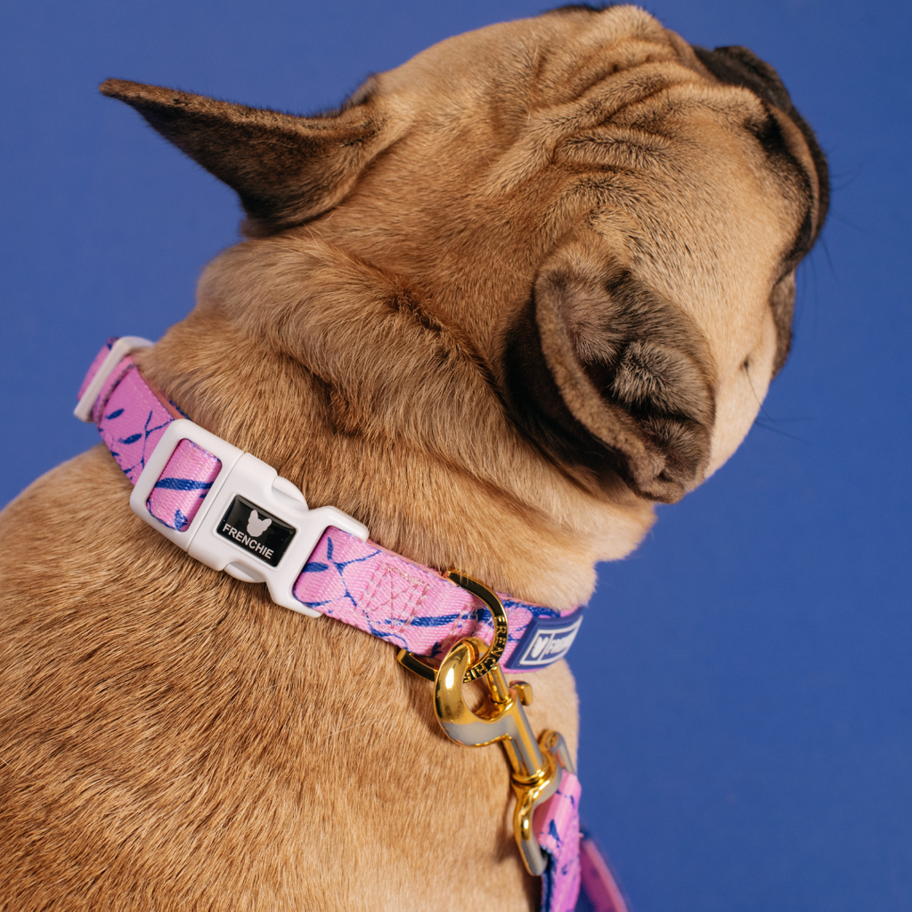 Frenchie Comfort Collar - Pink Marble