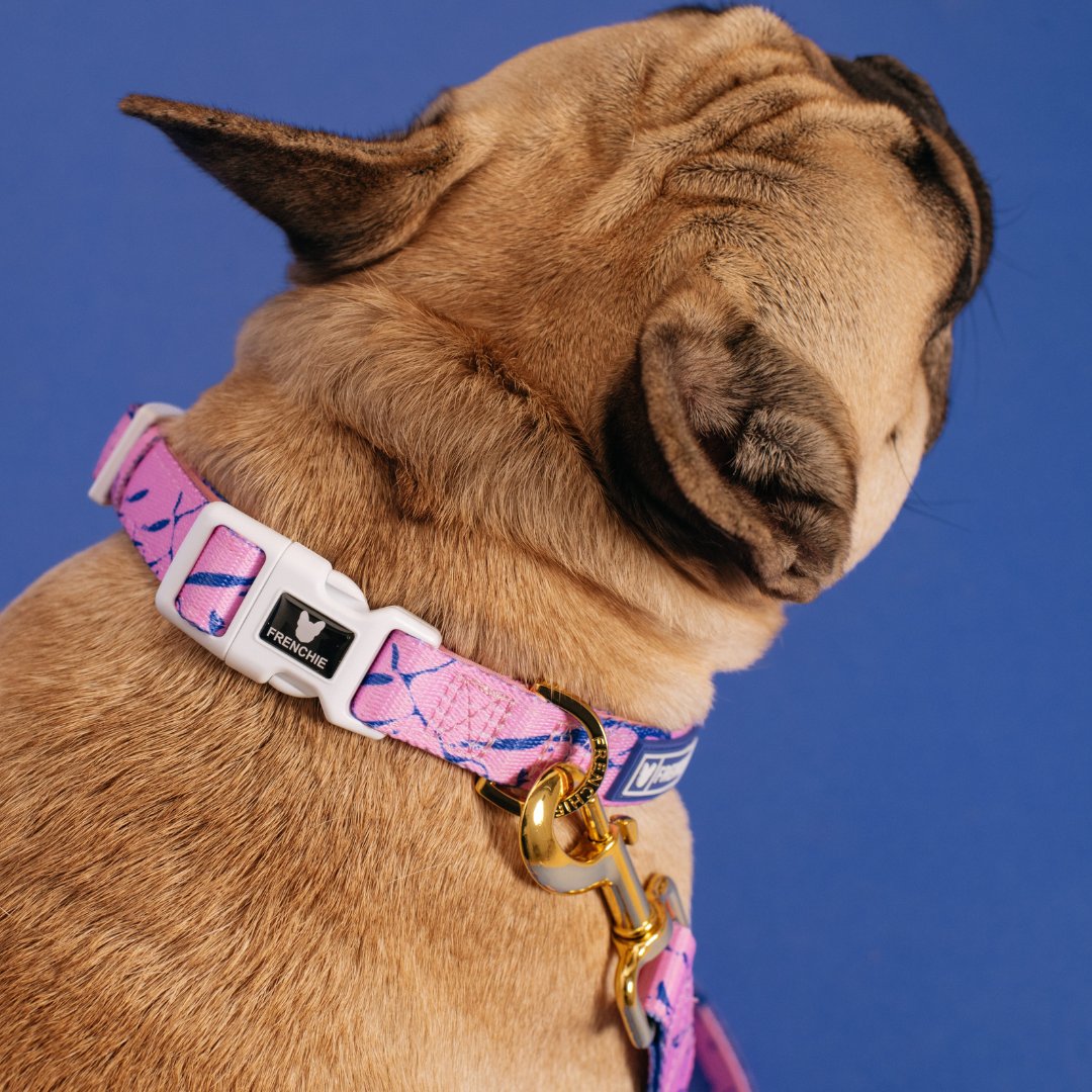 Frenchie Comfort Collar - Pink Marble