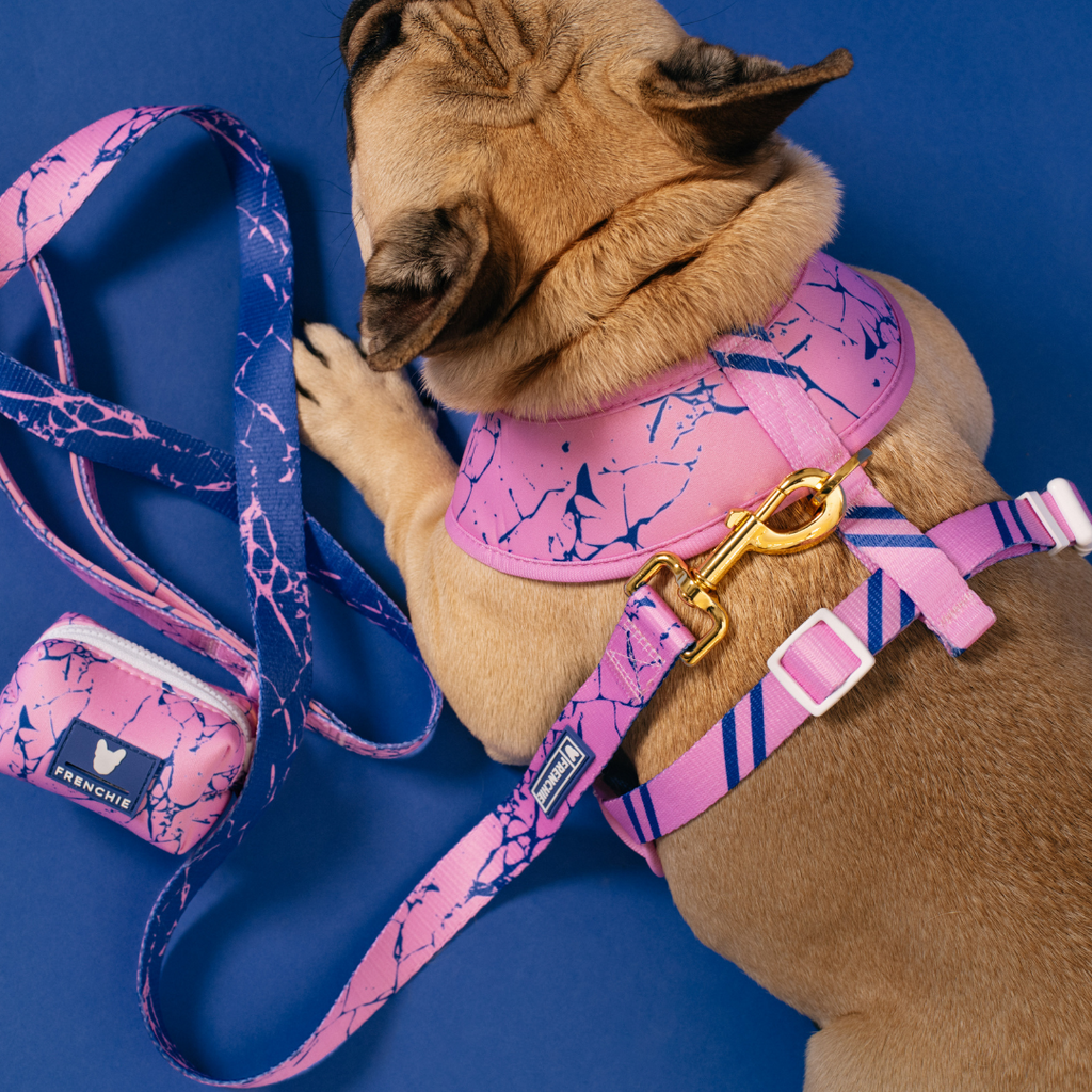 Frenchie Duo Reversible Harness - Pink Marble