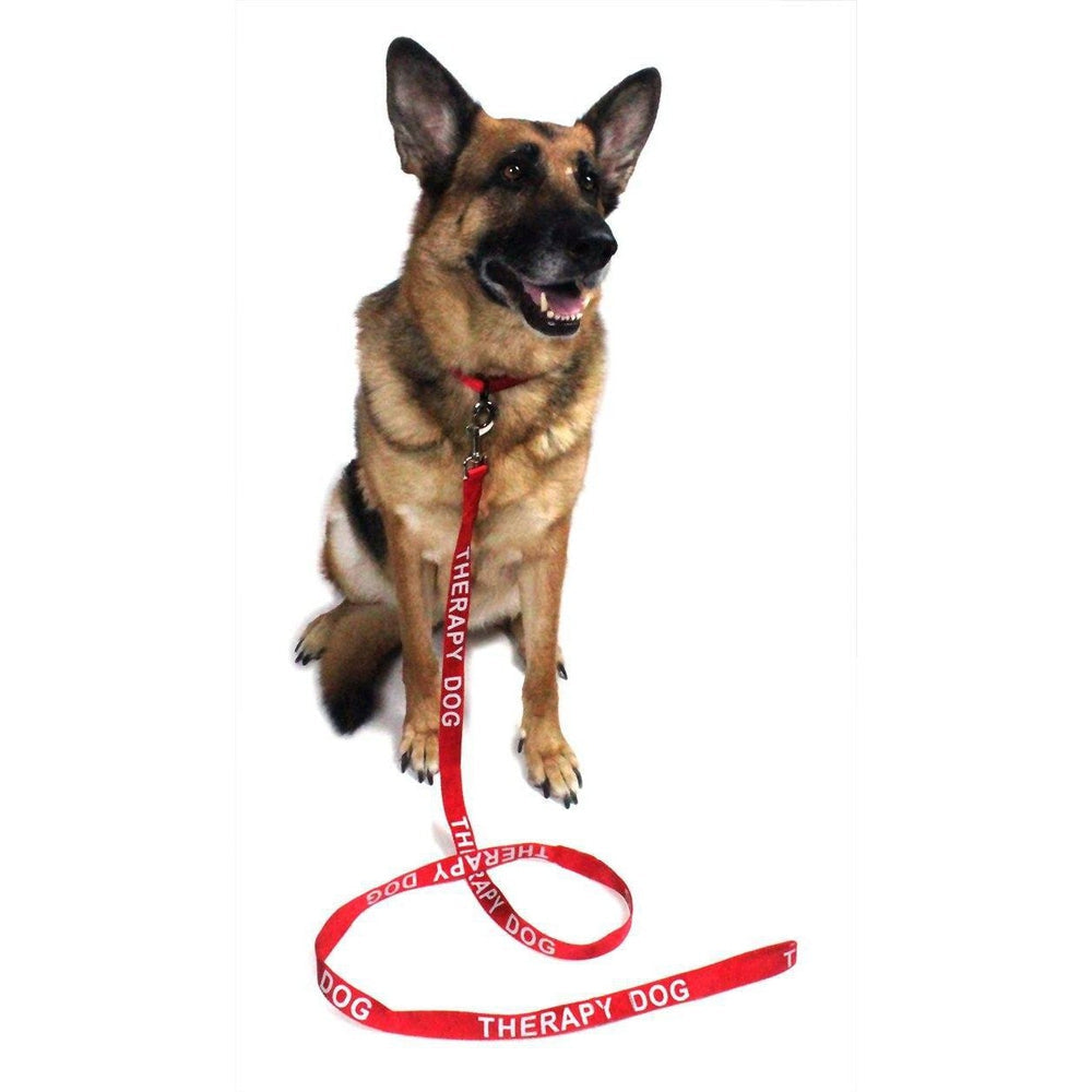 Reflective Nylon Dog Leash