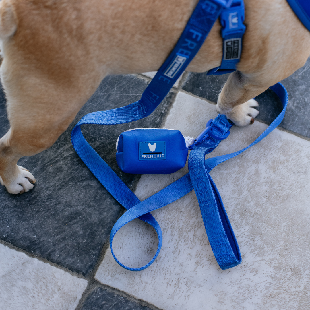 Frenchie Comfort Leash - Solid Royal Blue