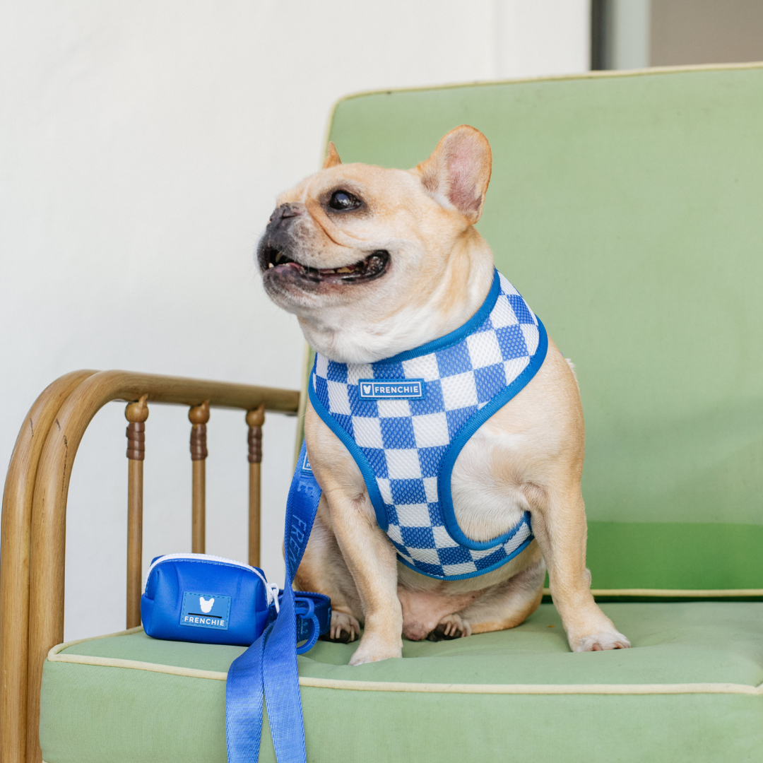 Frenchie Duo Reversible Harness - Solid Royal Blue