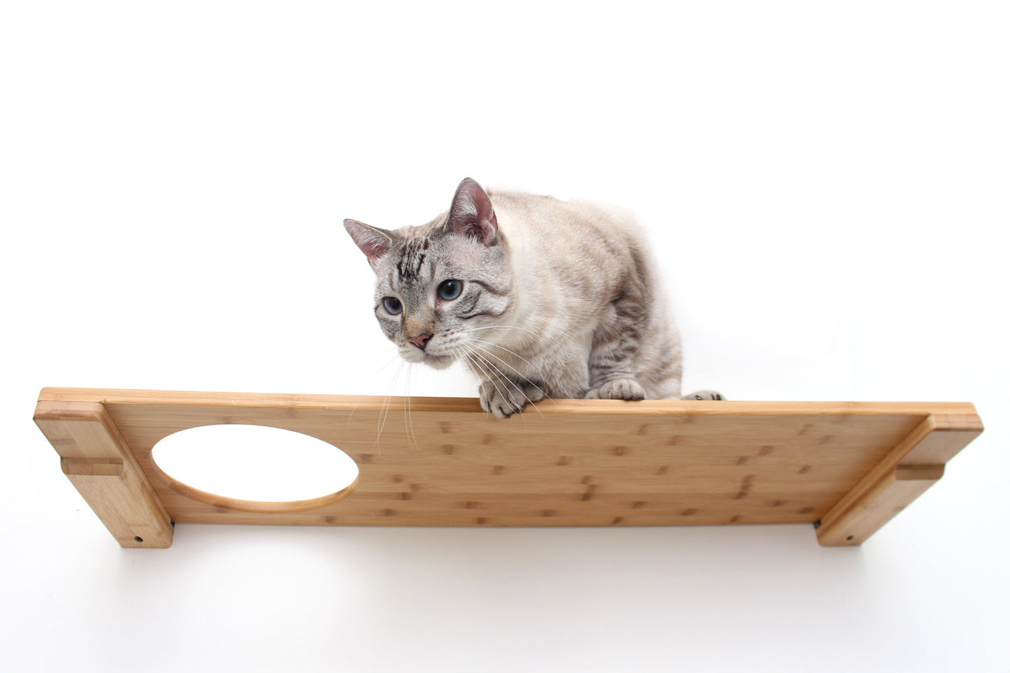 Wall Mounted Cat Shelf