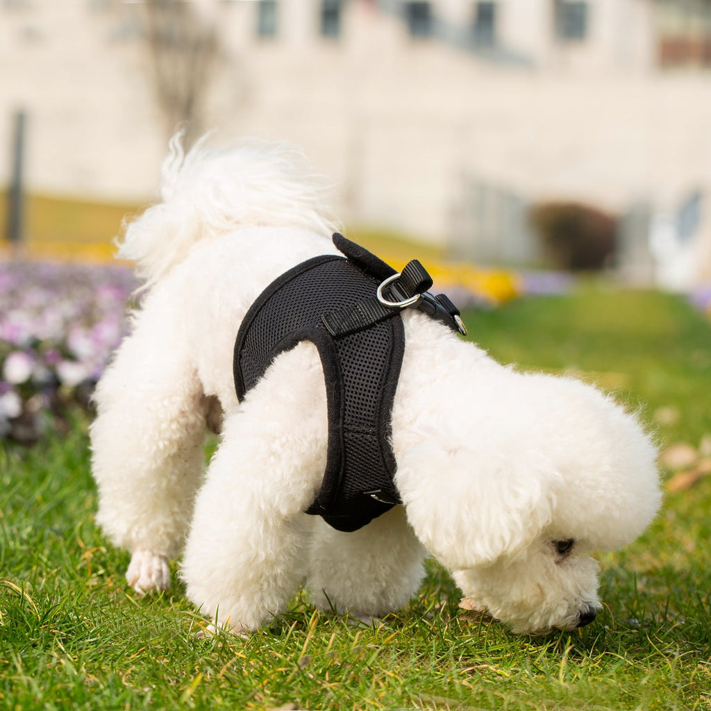 Mr. Peanut's PupTrek Soft Mesh Pet Harness with Matching Leash – Adjustable, Breathable, Choke-Free