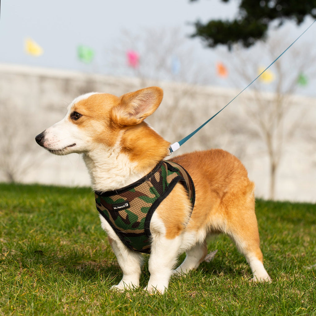 Mr. Peanut's PupTrek Soft Mesh Pet Harness with Matching Leash – Adjustable, Breathable, Choke-Free