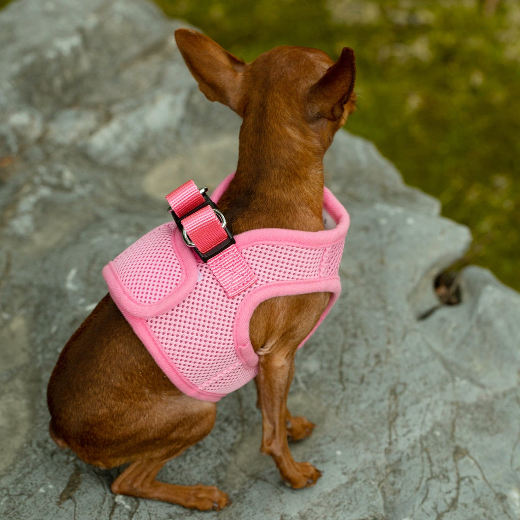 Mr. Peanut's PupTrek Soft Mesh Pet Harness with Matching Leash – Adjustable, Breathable, Choke-Free