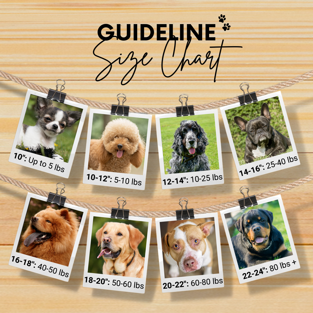 Paris Sambboho dog collar (with center D-ring)