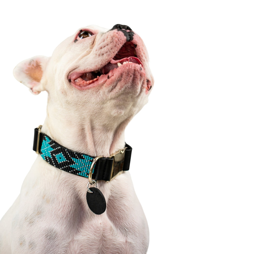 Saint Barth dog collar (quick release)