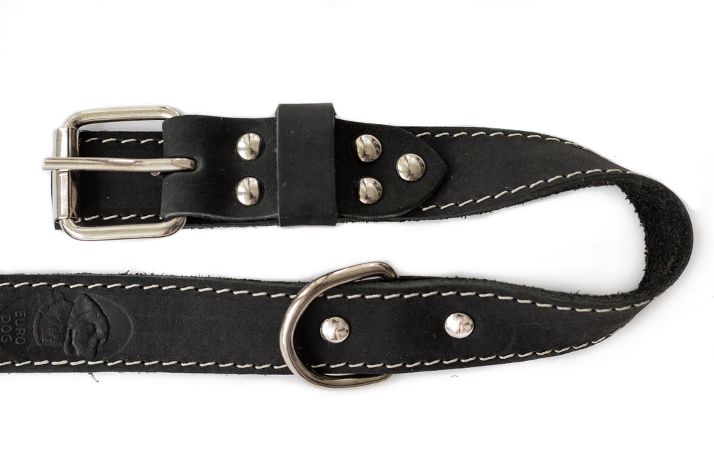 Pro Line Hunting Leather Collar and Leash Set