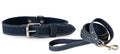 Pro Line Hunting Leather Collar and Leash Set