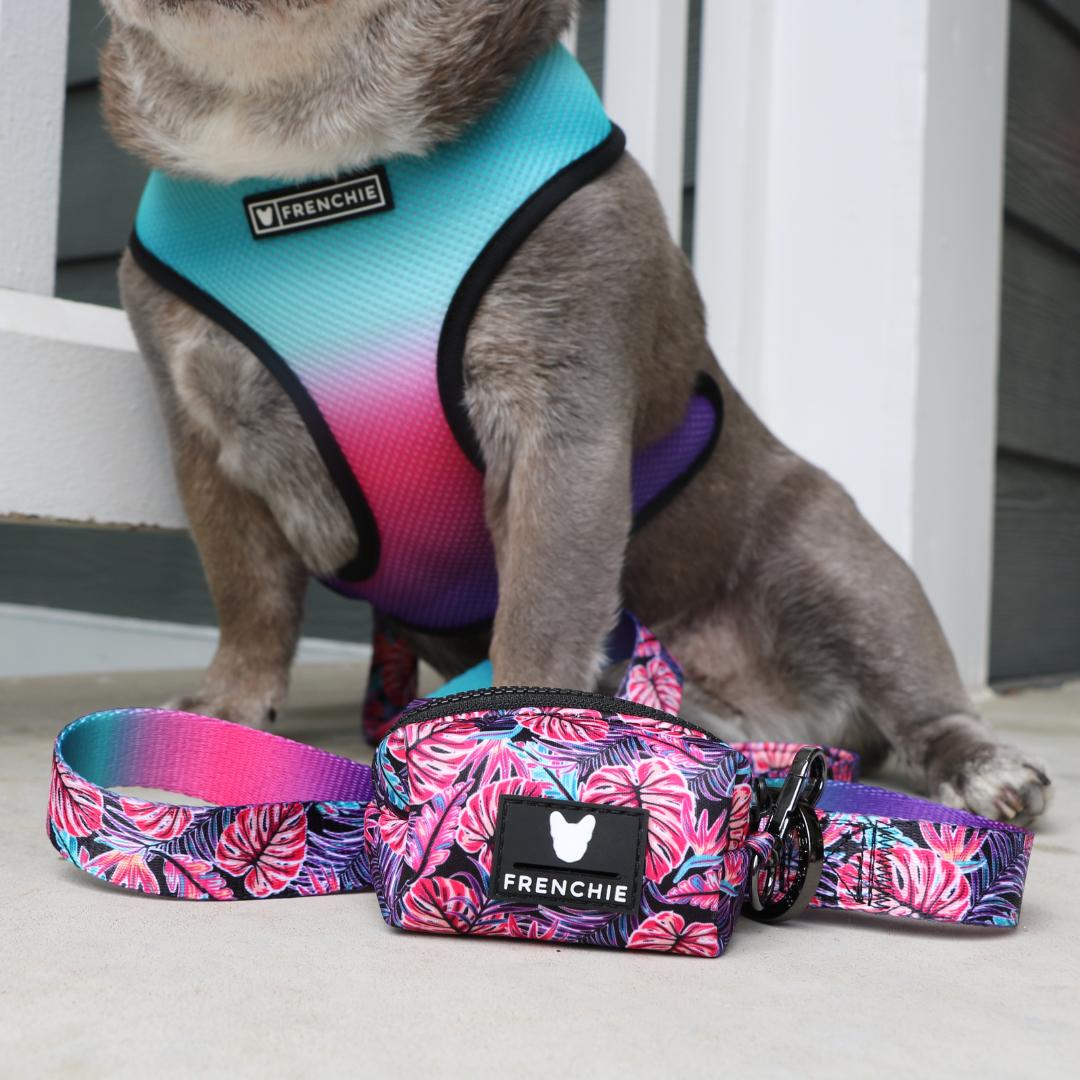 Frenchie Comfort Leash - Tropical Palms
