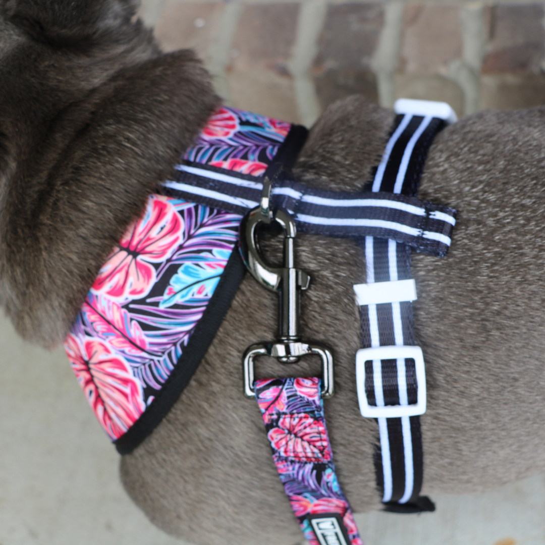 Frenchie Duo Reversible Harness - Tropical Palms