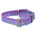Twilight Glow Blue Plaid Martingale Dog Collar – EarthStyle