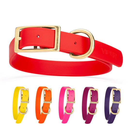 Viper Biothane Waterproof Dog Collar - Brass Hardware - Size L (18" - 22")