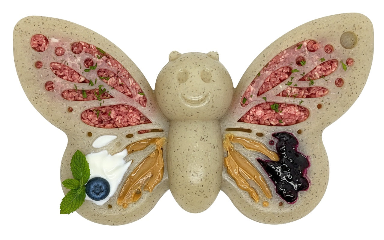 Butterfly eChew Durable Nylon Chew and Enrichment Toy
