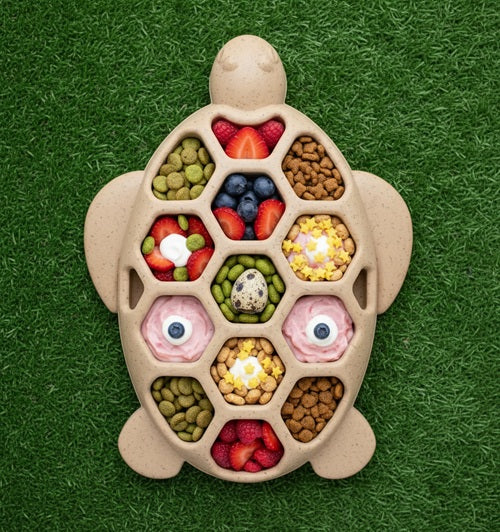 Turtle eChew Durable Nylon Chew and Enrichment Toy