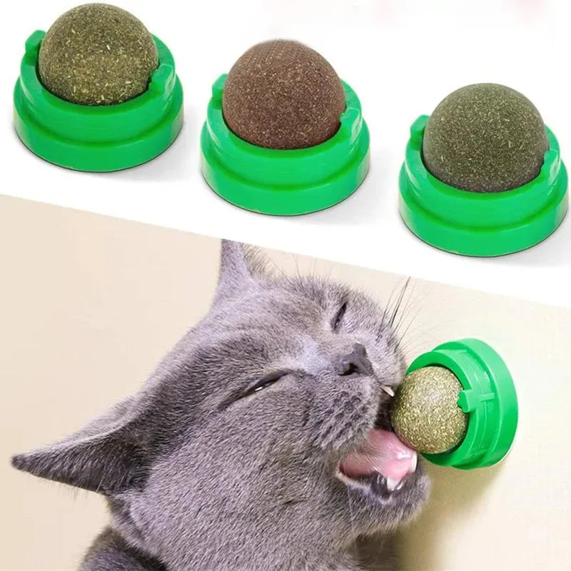 Lickable Catnip Balls - Love My Pet