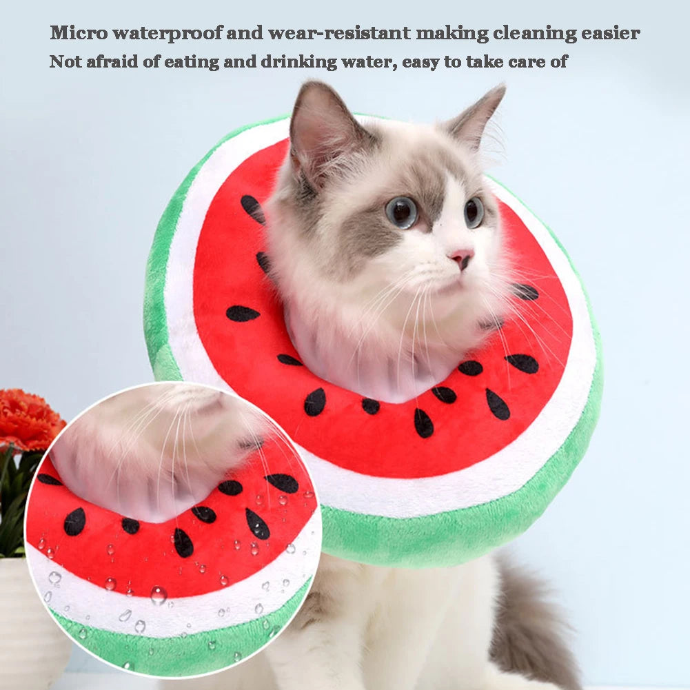 Cute Fruit Shapes, Pet Elizabethan Collar