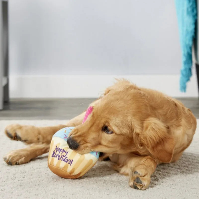 Dog Toy Cute Squeaky Birthday Cake, Bone Etc