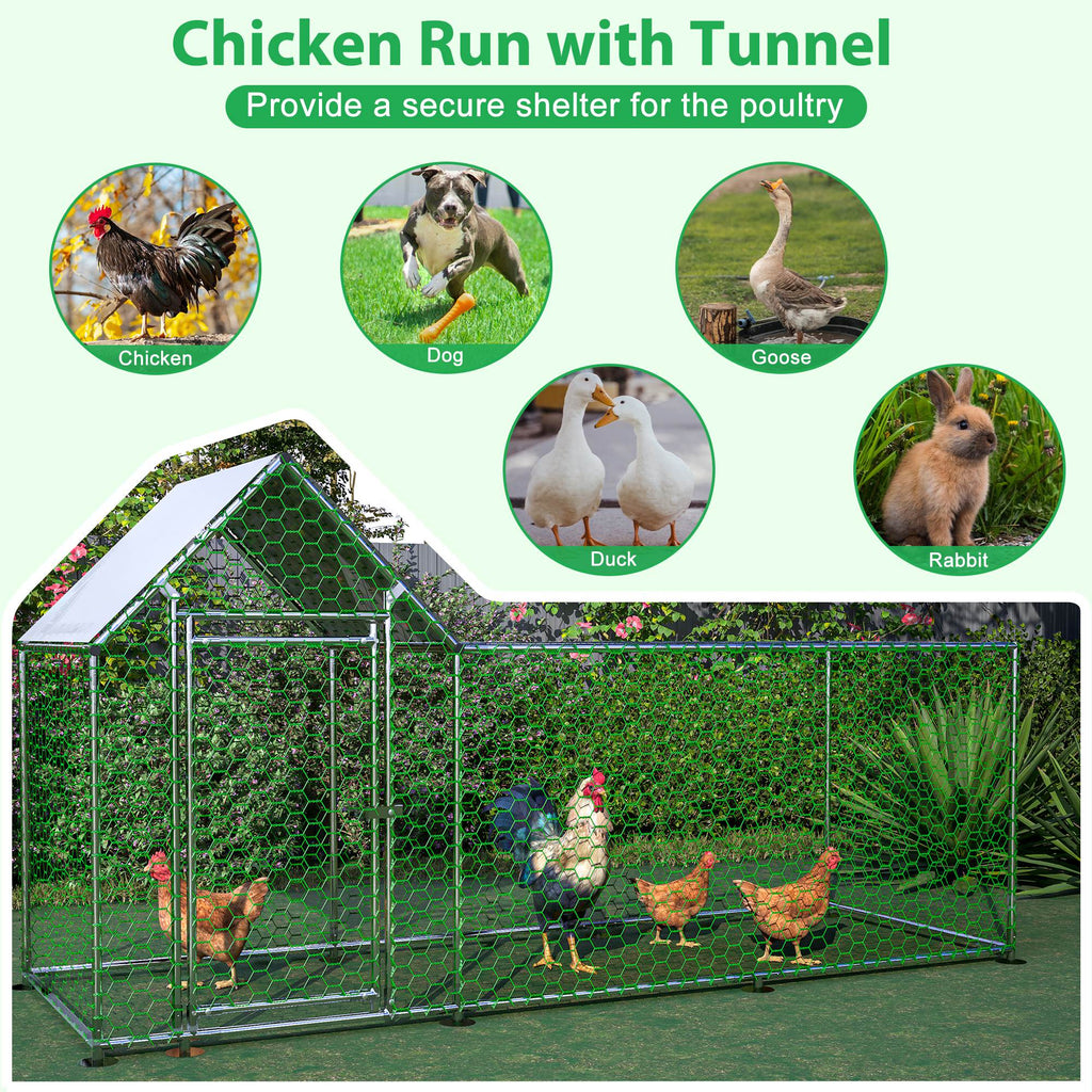 Metal Chicken Enclosure with Cover
