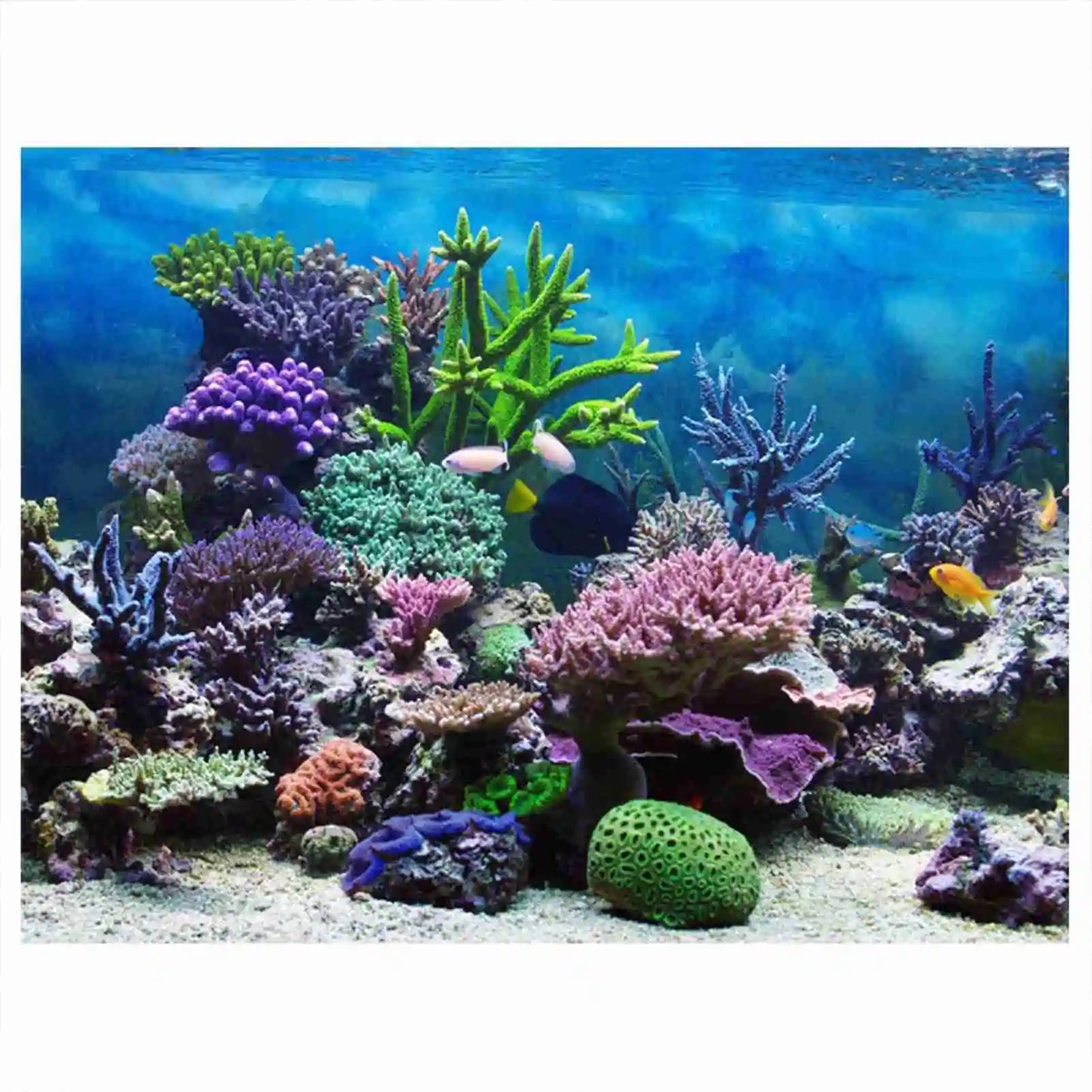 Aquarium Landscape Wallpaper Fish Tank Background