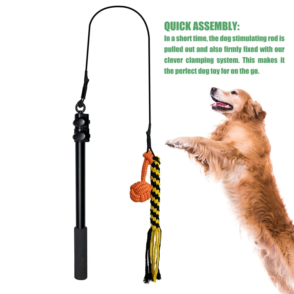 Durable Teaser Rod Tethered Dog Toy For Outdoor Sports