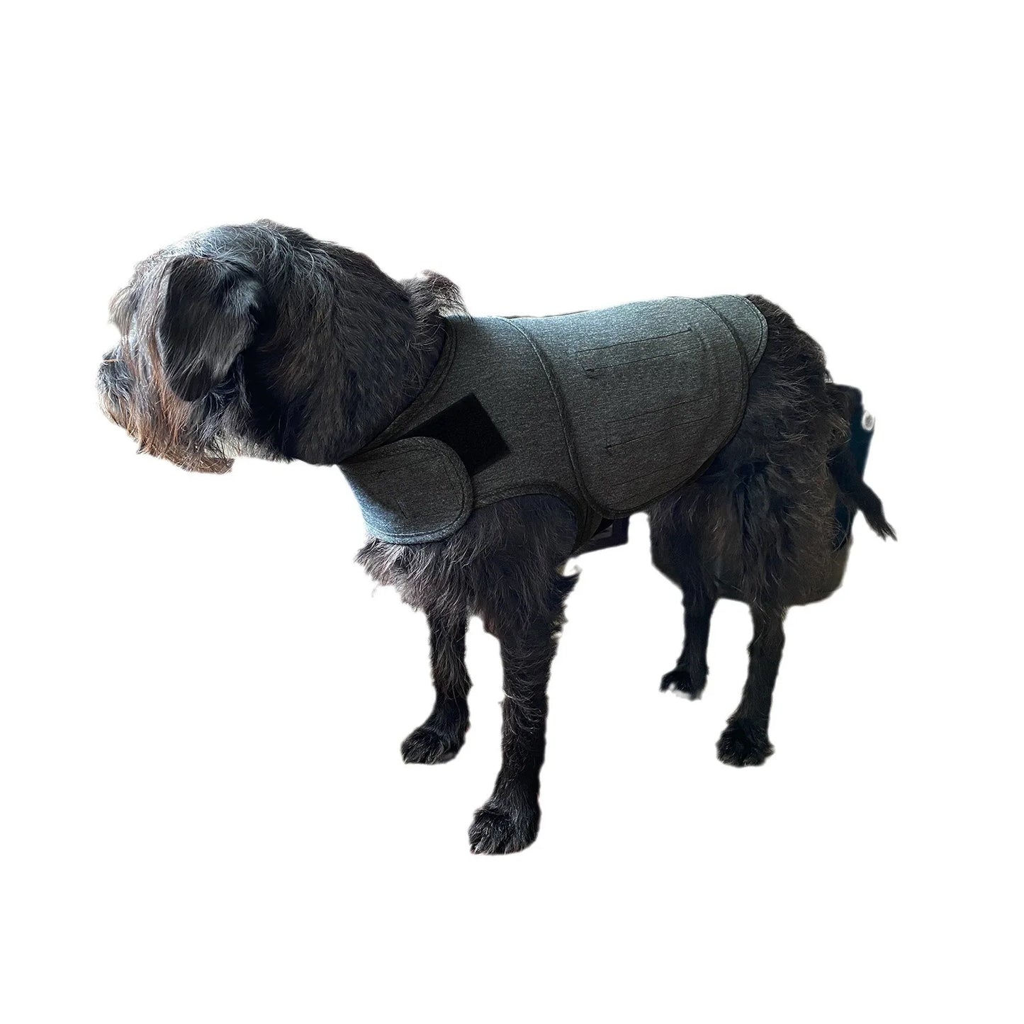 Pet Thunder Stress Anxiety Soft Vest