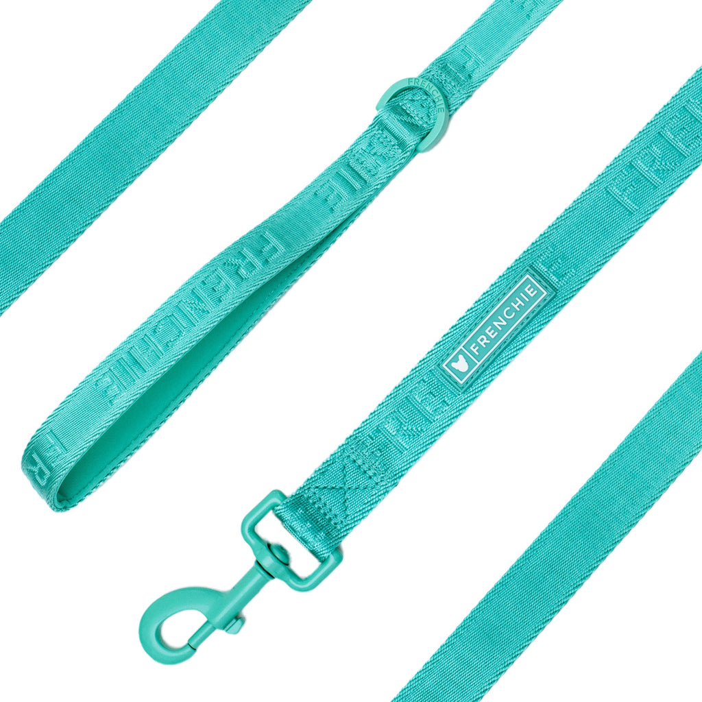 Frenchie Comfort Leash - Solid Aqua