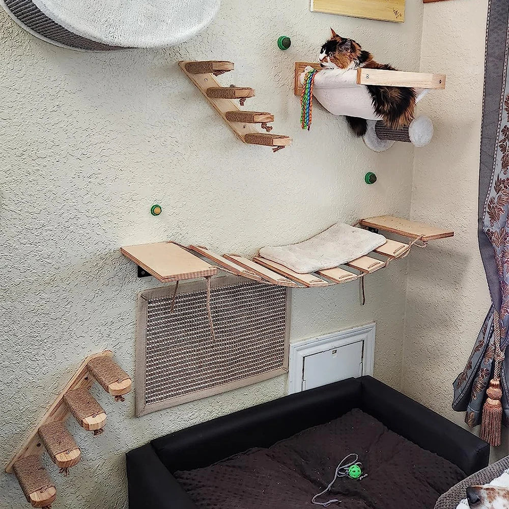 Wall Mounted Cat Climbing Shelves and Ladders