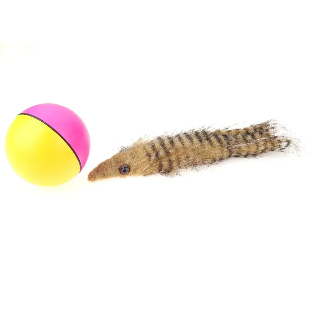 Pet Rolling Play Ball With Chasing Weasel