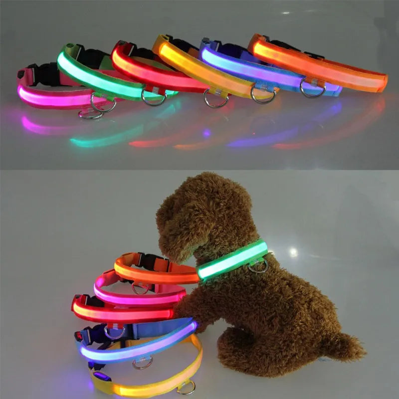Nylon LED Pet Dog Collar USB Charging