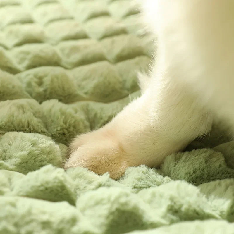 Thick Sleeping Pet Mat Removable and Washable