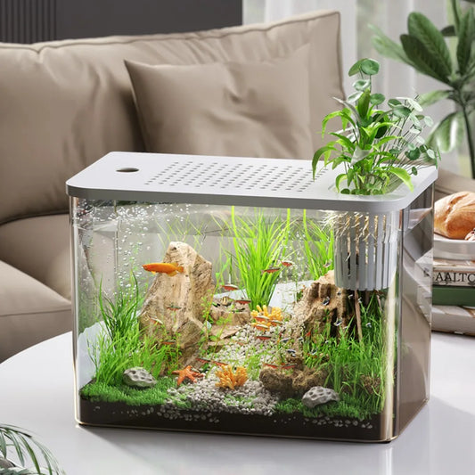 ABS Fish Tank Transparent with Lid