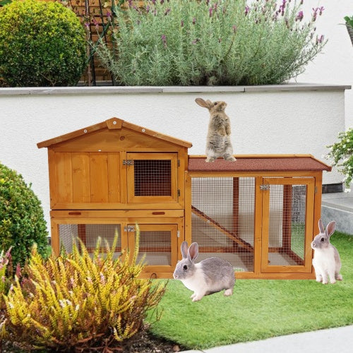 Deluxe Outdoor Chicken Coop