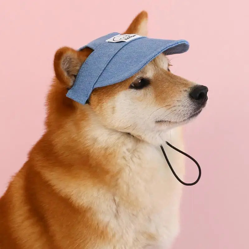 Pet Outdoor Embroidered Cartoon Sunshade Hat