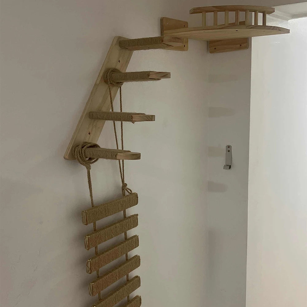 Wall Mounted Cat Climbing Shelves and Ladders