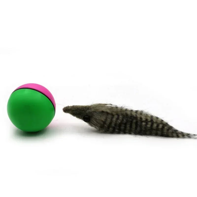 Pet Rolling Play Ball With Chasing Weasel